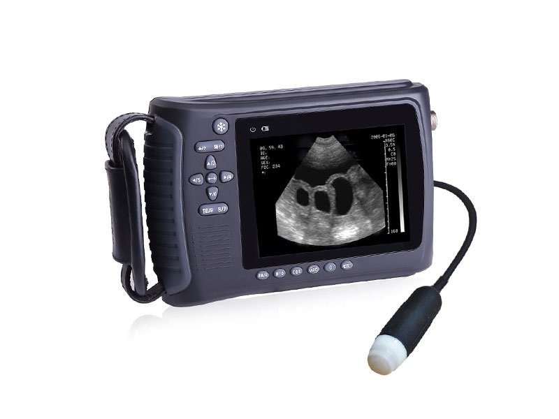 Scanner a ultrasuoni per sonda settoriale portatile veterinaria