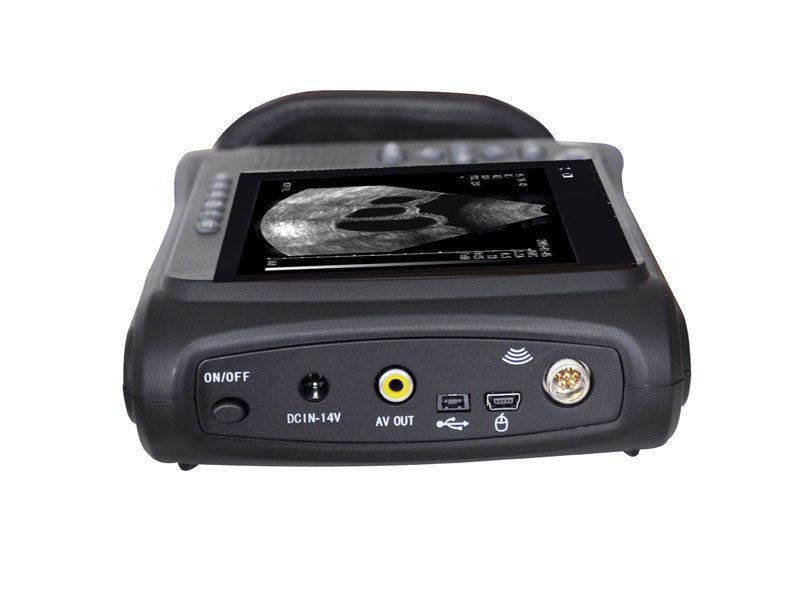  Ultrasound Scanner Veterinary Handheld Sector Probe
